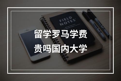 留学罗马学费贵吗国内大学