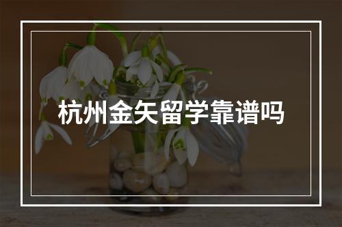 杭州金矢留学靠谱吗