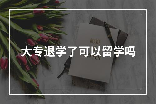 大专退学了可以留学吗