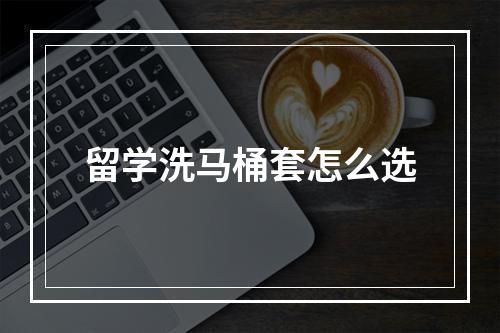 留学洗马桶套怎么选