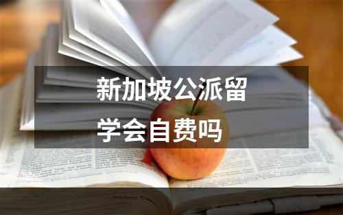 新加坡公派留学会自费吗