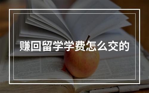 赚回留学学费怎么交的