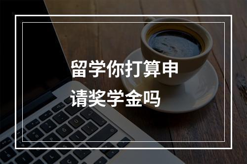 留学你打算申请奖学金吗