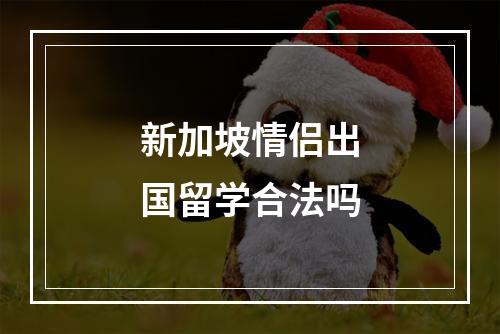 新加坡情侣出国留学合法吗