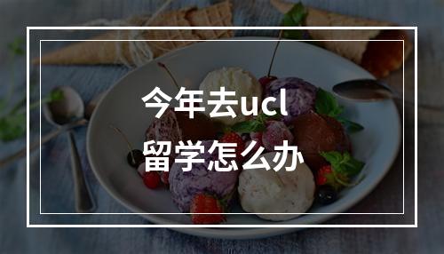 今年去ucl留学怎么办