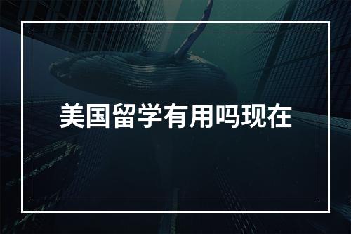 美国留学有用吗现在