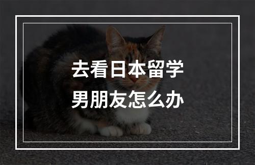 去看日本留学男朋友怎么办