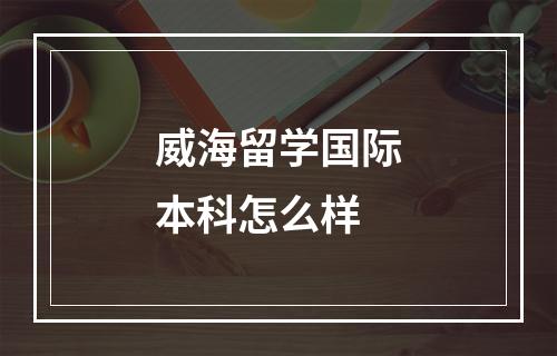 威海留学国际本科怎么样