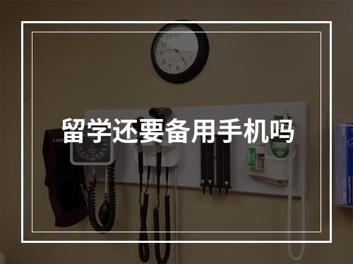 留学还要备用手机吗