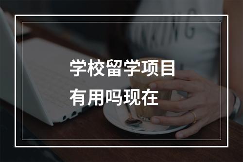 学校留学项目有用吗现在