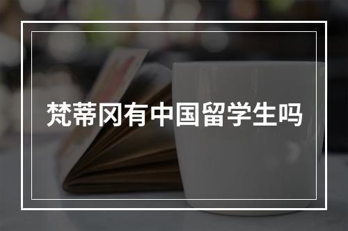 梵蒂冈有中国留学生吗