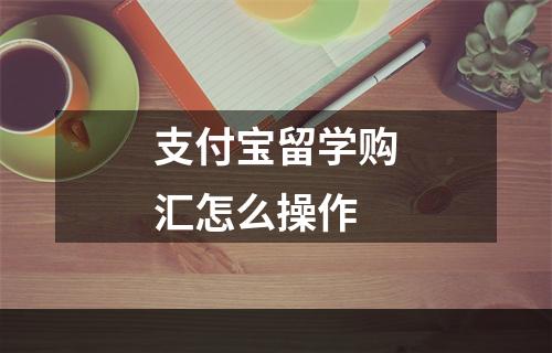 支付宝留学购汇怎么操作