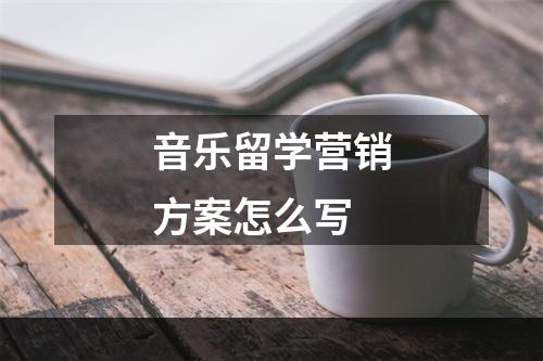 音乐留学营销方案怎么写