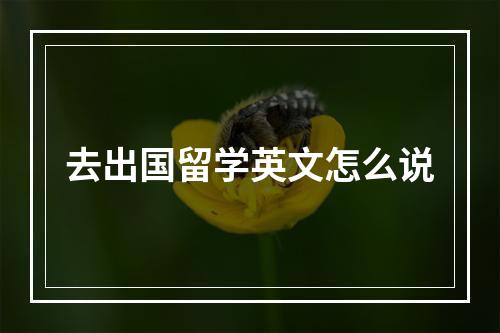 去出国留学英文怎么说