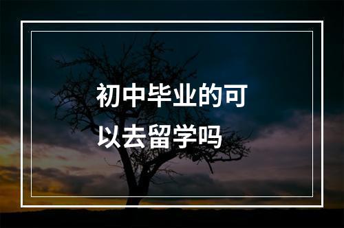 初中毕业的可以去留学吗