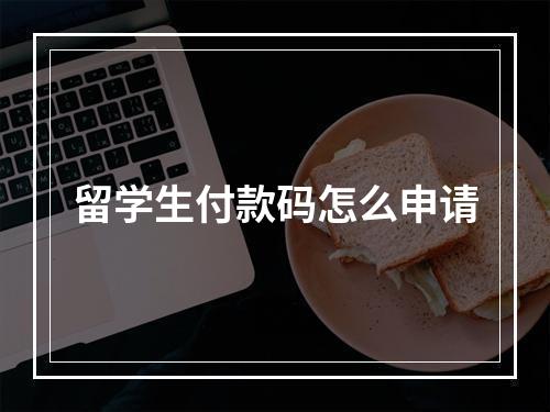 留学生付款码怎么申请