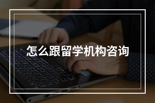 怎么跟留学机构咨询