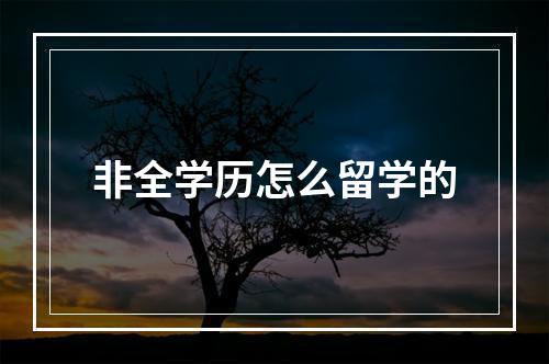 非全学历怎么留学的