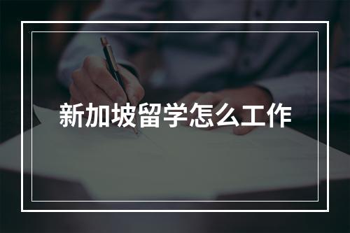 新加坡留学怎么工作