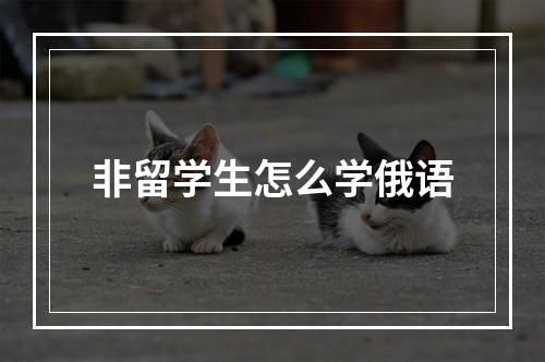 非留学生怎么学俄语