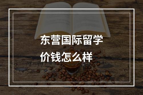 东营国际留学价钱怎么样