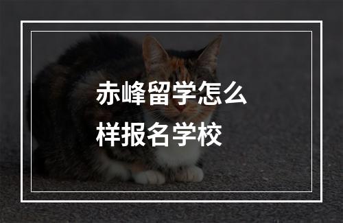 赤峰留学怎么样报名学校