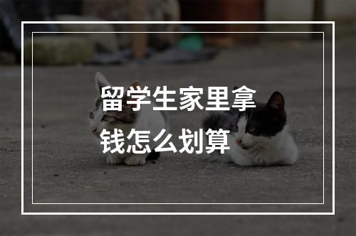 留学生家里拿钱怎么划算