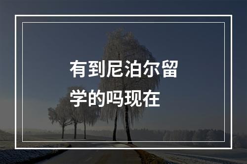 有到尼泊尔留学的吗现在