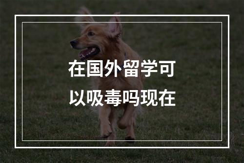 在国外留学可以吸毒吗现在