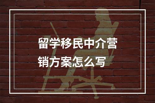 留学移民中介营销方案怎么写