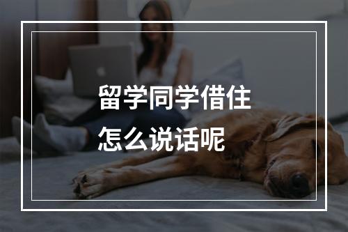 留学同学借住怎么说话呢