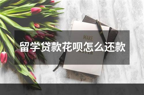 留学贷款花呗怎么还款