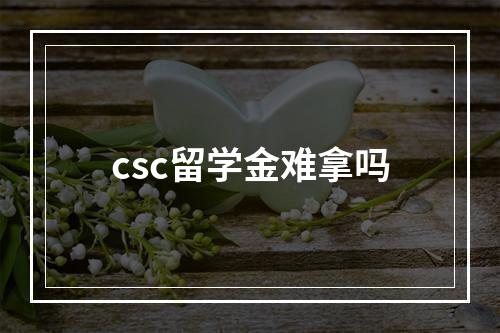 csc留学金难拿吗