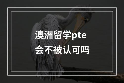 澳洲留学pte会不被认可吗