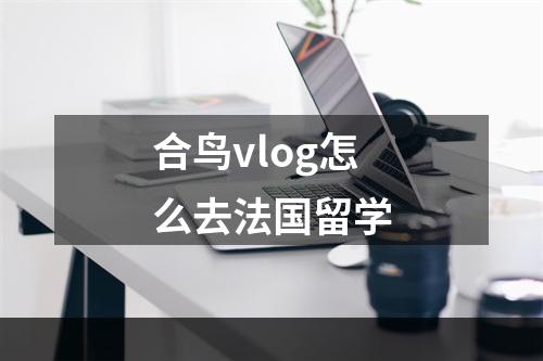 合鸟vlog怎么去法国留学