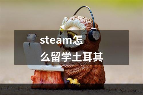 steam怎么留学土耳其