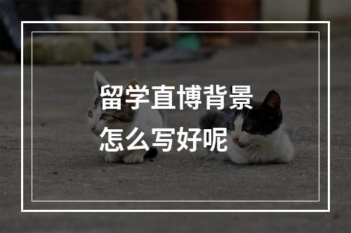 留学直博背景怎么写好呢