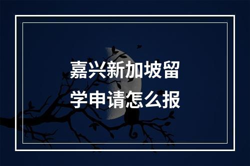 嘉兴新加坡留学申请怎么报