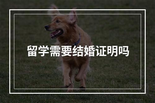 留学需要结婚证明吗