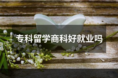 专科留学商科好就业吗