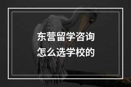 东营留学咨询怎么选学校的