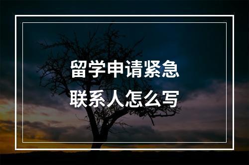 留学申请紧急联系人怎么写