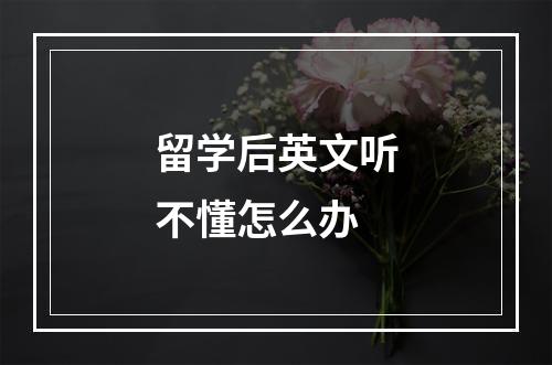 留学后英文听不懂怎么办