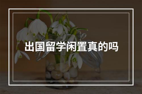 出国留学闲置真的吗