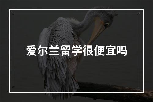 爱尔兰留学很便宜吗