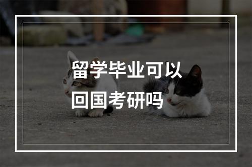 留学毕业可以回国考研吗