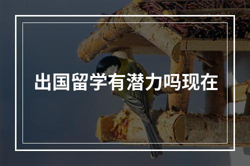 出国留学有潜力吗现在