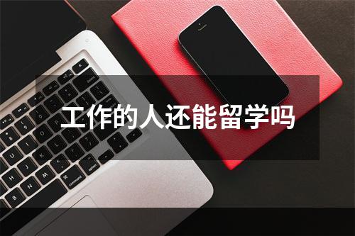 工作的人还能留学吗