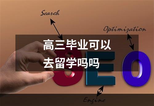 高三毕业可以去留学吗吗