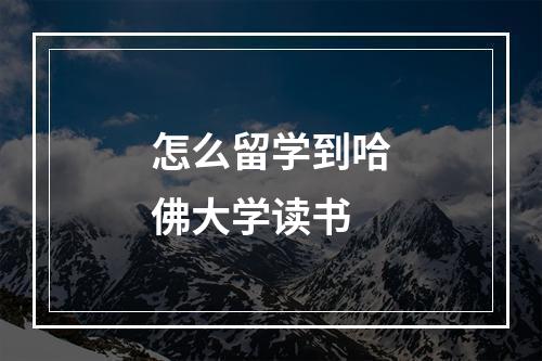 怎么留学到哈佛大学读书